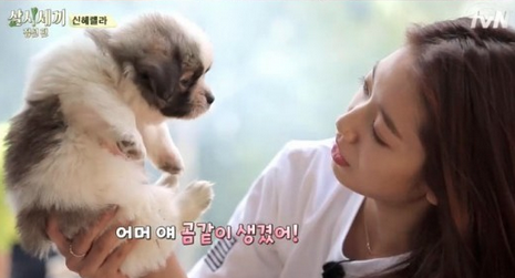 Peluk Cium Anjing Kampung, Park Shin Hye Tarik Perhatian Netizen