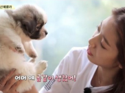 Peluk Cium Anjing Kampung, Park Shin Hye Tarik Perhatian Netizen