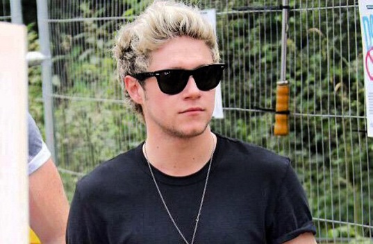 Niall Horan akan Menikah dengan Selena Gomez