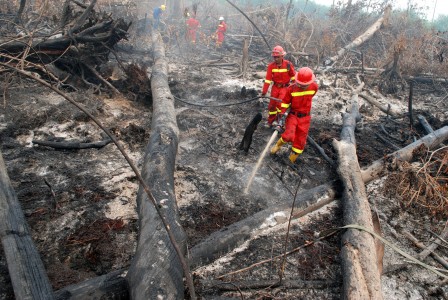 Kebakaran Hutan di Sejumlah Daerah