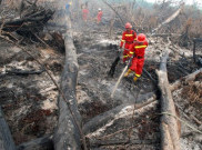 Kebakaran Hutan di Sejumlah Daerah