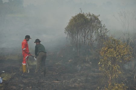 Bangun Ikatan Emosional, Polisi Ajak Jaksa ke Lokasi Pembakaran Hutan