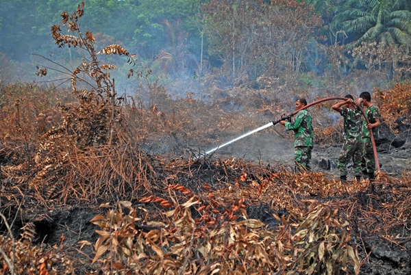 Walhi Akan Gugat 18 Korporasi Pembakar Hutan 