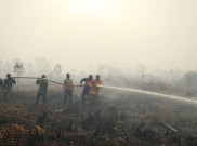 Polisi Akui Sulit Usut Perkara Pembakaran Hutan