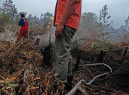 Perusahaan Akan Diwajibkan Padamkan Kebakaran Hutan di Wilayahnya 
