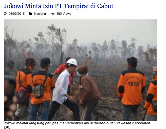 Walhi Tuding Pejabat Eselon I Bekingi Perusahaan Sawit Pembakar Lahan