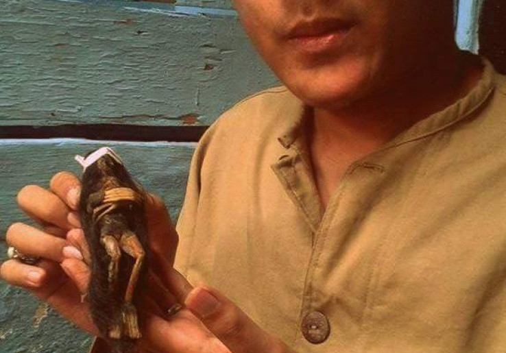 Kisah Nyata, Pesulap Ini Pelihara Jengglot