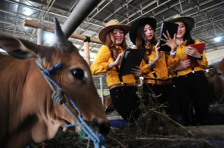 Nekat Jualan Hewan Kurban di Trotoar, Siap-Siap Ditertibkan Anak Buah Anies