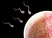 5 Tanda Pria Memiliki Sperma Tak Sehat