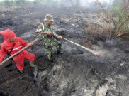 Kebakaran Lahan Perkebunan Sawit  di OKI