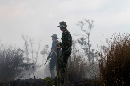 Ini Daftar 7 Perusahaan Tersangka Pembakaran Hutan
