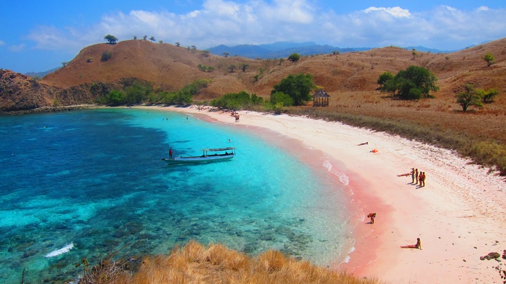 Nikmati Sensasi Pantai Pink Pemikat Dunia