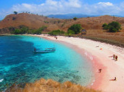 Nikmati Sensasi Pantai Pink Pemikat Dunia
