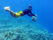 Aksi Bersihkan Taman Laut Olele