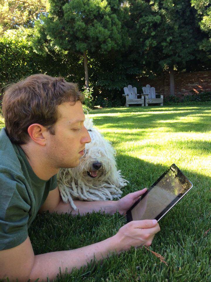 Beast, Anjing Mark Zuckerberg yang 'Ajaib'