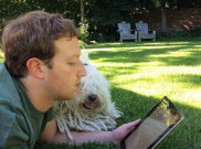  Beast, Anjing Mark Zuckerberg yang 'Ajaib'