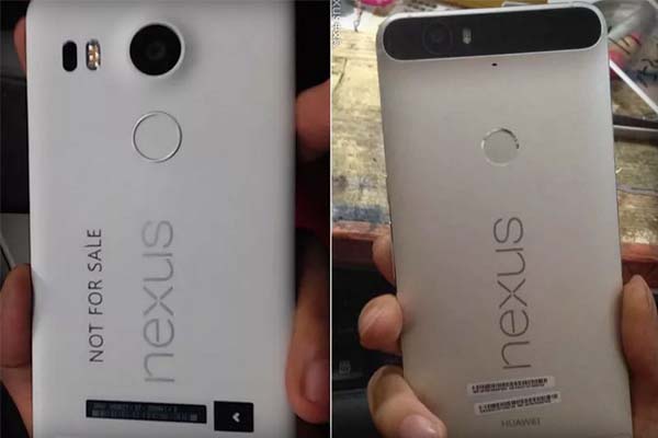 Nexus Terbaru Rilis dalam 2 Tipe