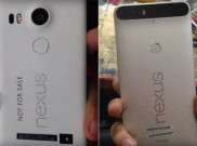 Nexus Terbaru Rilis dalam 2 Tipe