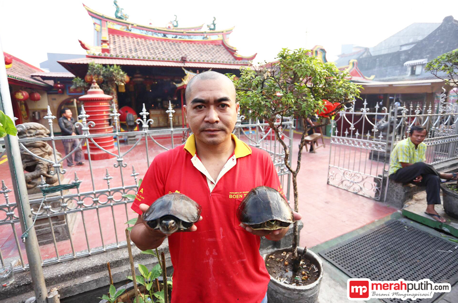 Tradisi Fang Sheng, Ironi Melepas Hewan Liar ke Alam Bebas