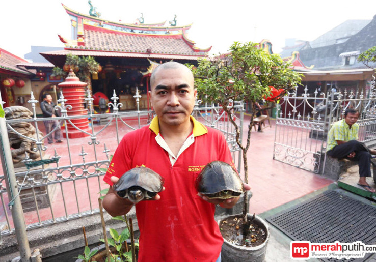Tradisi Fang Sheng, Ironi Melepas Hewan Liar ke Alam Bebas