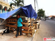 Sepi Pembeli, Pedagang Hewan Kurban Banting Harga