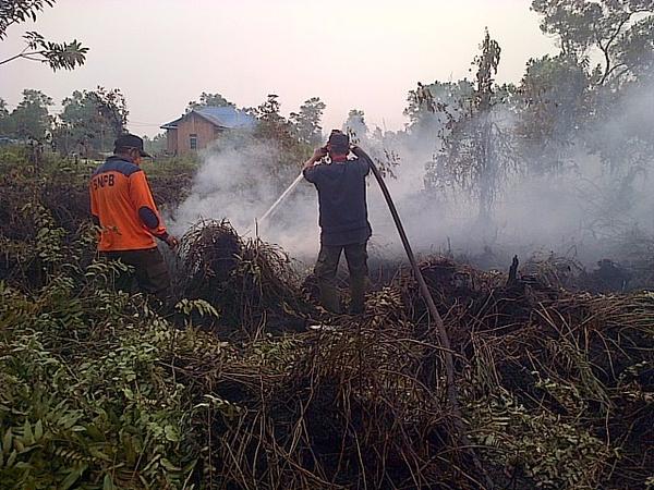 Gubernur Kalimantan Tengah Legalkan Bakar Lahan