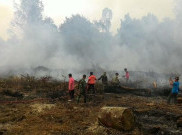 Ini Lahan Akibat Kebakaran Hutan di Kalimantan
