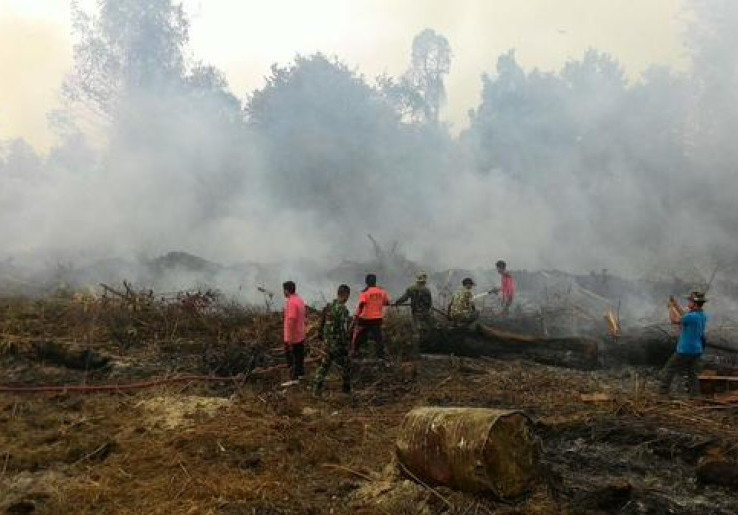 12 Perusahaan Ditetapkan Tersangka Pembakar Hutan