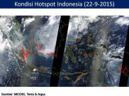 Kebakaran Lahan Terjadi di Maluku dan Papua