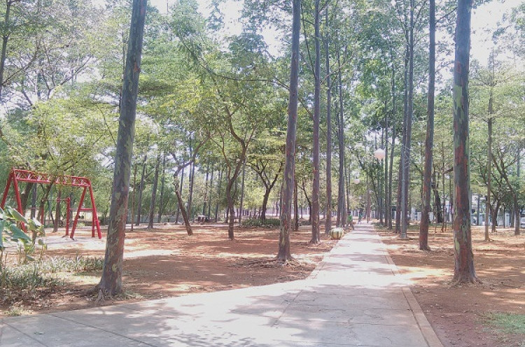 Pengunjung Taman Honda Kawasan Jalur Hijau Tebet Timur Jakarta Selatan Tidak Ditarik Pungutan