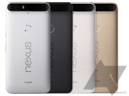 Nexus 6P Hadir dalam 4 Pilihan Warna