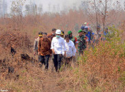 Kebakaran Hutan, Jokowi Minta Rakyat Sabar