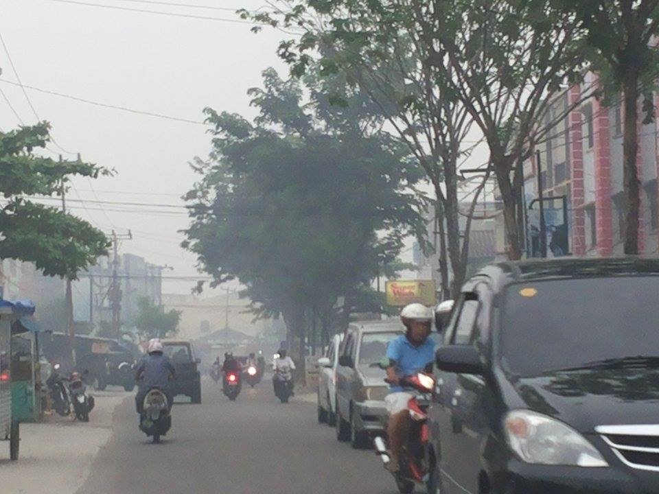 Penerbangan Terganggu dan Sekolah Libur, Riau Darurat Kabut Asap