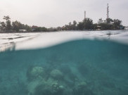 Keindahan Wisata Bahari Dalam Negeri