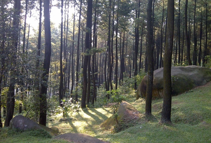 Serunya Berwisata ke Gunung Pancar Bogor