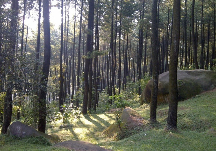 Serunya Berwisata ke Gunung Pancar Bogor 