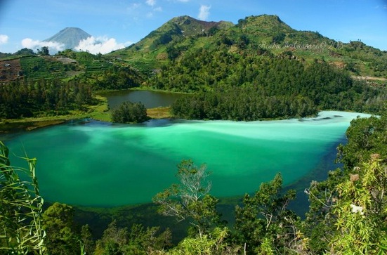 Berwisata di Telaga Warna Bogor, Bersahabat dengan Alam