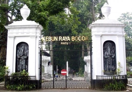 Menikmati Keindahan Wisata Alam di Kebun Raya Bogor