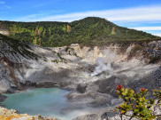 Gunung Tangkuban Parahu Erupsi