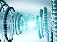 Neutrino Ternyata Memiliki Massa