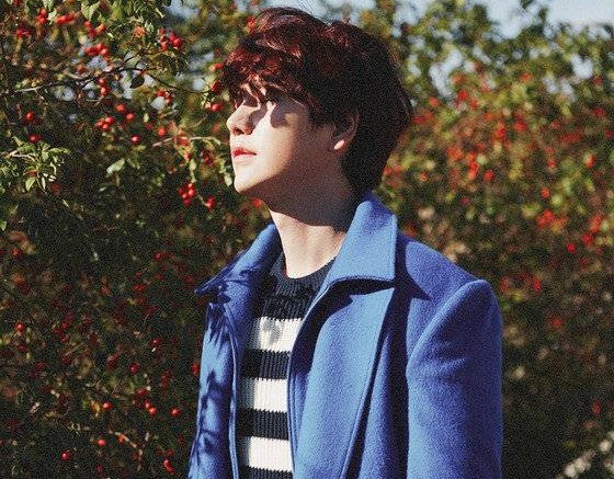 Kyuhyun SuJu Akan Rilis Mini Album Solo Kedua “Again, If Fall Comes”