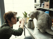 Yoo Seung Ho Akan Bintangi Drama Terbaru “Imaginary Cat”