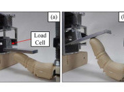 Peneliti Kembangkan Jari Bionik Baru