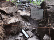 DNA Kuno Ungkap Migrasi Besar-Besaran ke Afrika