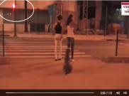 Video Anjing Patuhi Lampu Lalin Ketimbang Manusia Gegerkan Netizen