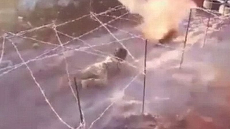 Mengerikan, ISIS Latih Bocah Enam Tahun