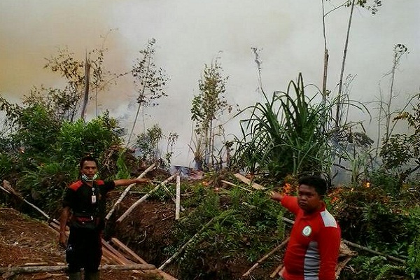 Pembakaran Hutan dan Lahan di Riau Terus Berlangsung