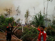 Pembakaran Hutan dan Lahan di Riau Terus Berlangsung
