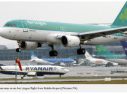 Pria Tewas Setelah Menggigit Penumpang Pesawat