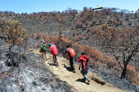 Daftar Nama Korban Kebakaran Gunung Lawu